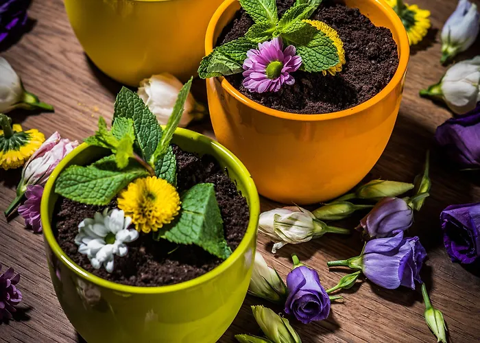 Radisson Blu מלון פראג